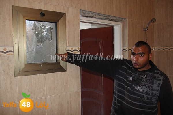 modahama lud 0216 (40).JPG